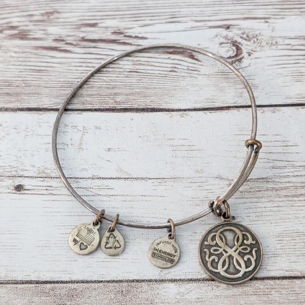 Alex & Ani Charm Bracelet Darker Tone Metal - Tarnished